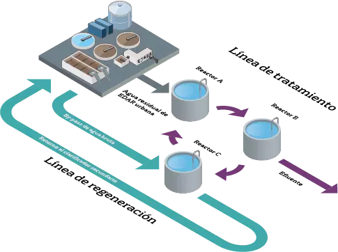 exeno post treatment